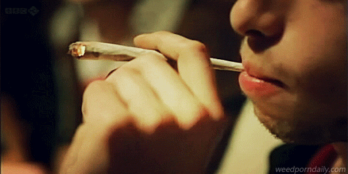 the-wonderlands-of-now:  frenchhh inhale.# Stoner fandom 