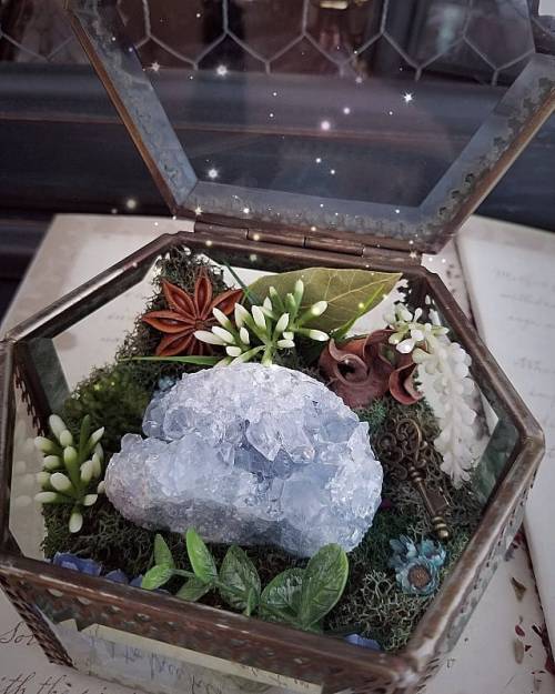 New Celestite Crystal Garden- only one available! Celestite is a great tool for meditation. It is a 