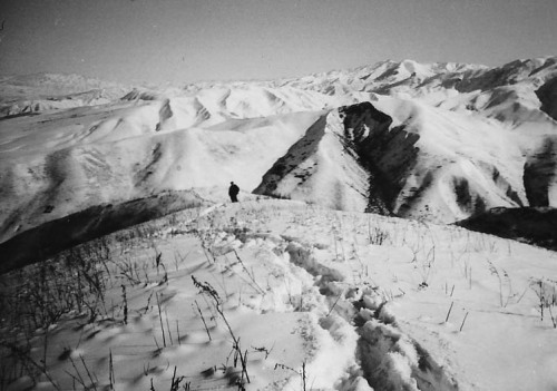 halinkivandamme: Snow in Nowosibirsk