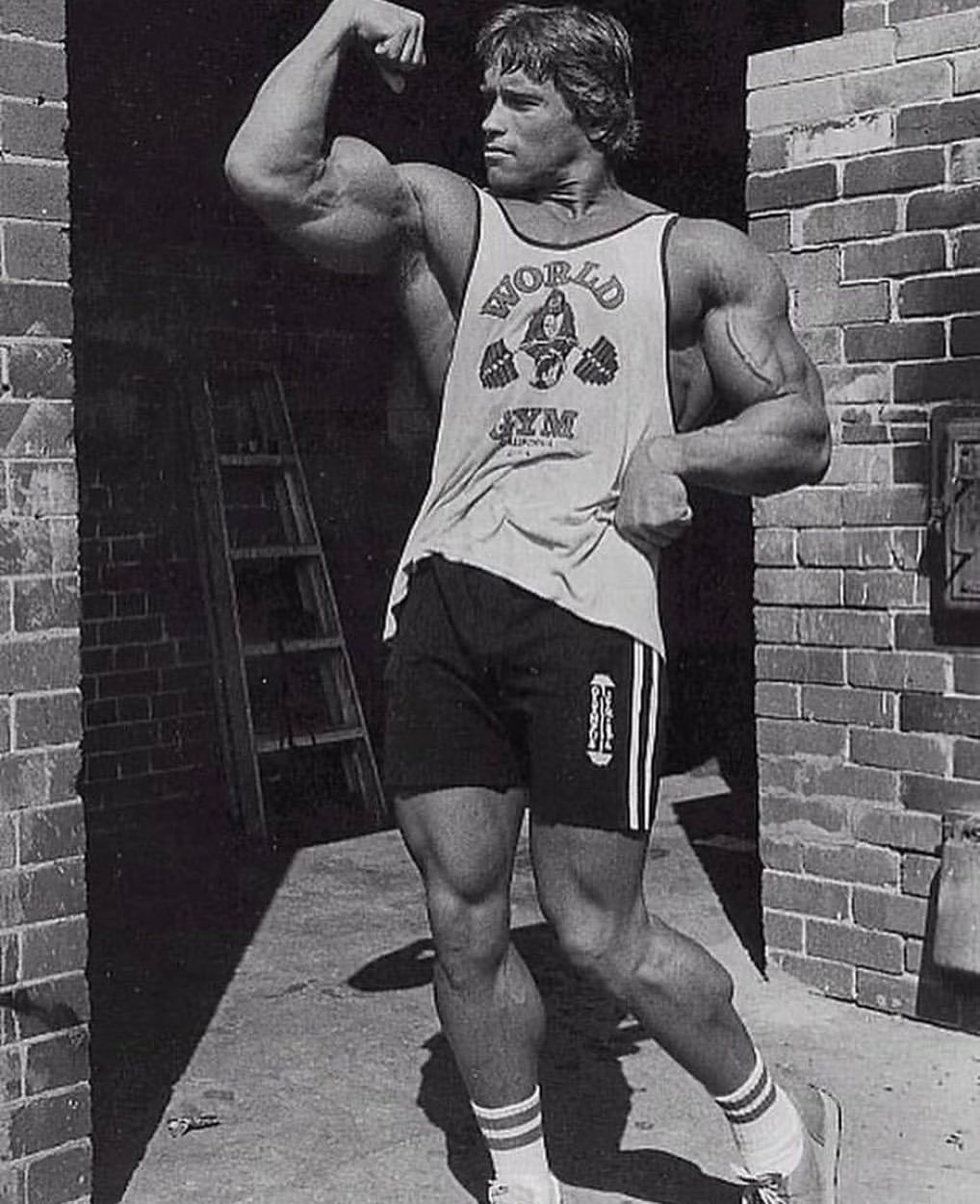 Arnold Schwarzenegger Bodybuilding Transparent - Arnold Schwarzenegger  Bodybuilding Png, Png Download , Transparent Png Image - PNGitem