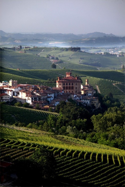  Barolo