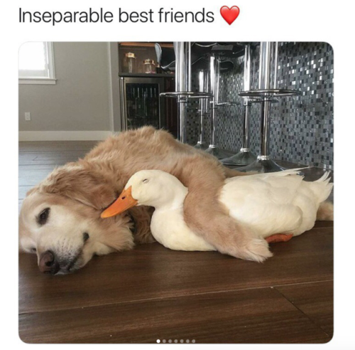 I Wouldn’t Show Mom