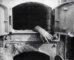 An unburned hand emerging from an oven serves
