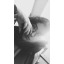 kwwnnn