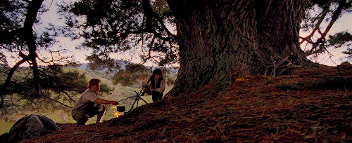 aurrorpotter: “It’s a dangerous business, Frodo, going out your door. You step onto the 