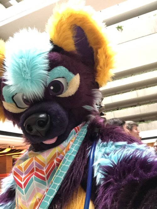 fursuitpursuits: RT @SparklyRogue: If you found some pics of my dummy animals at #FurFest ?! PLEASE 
