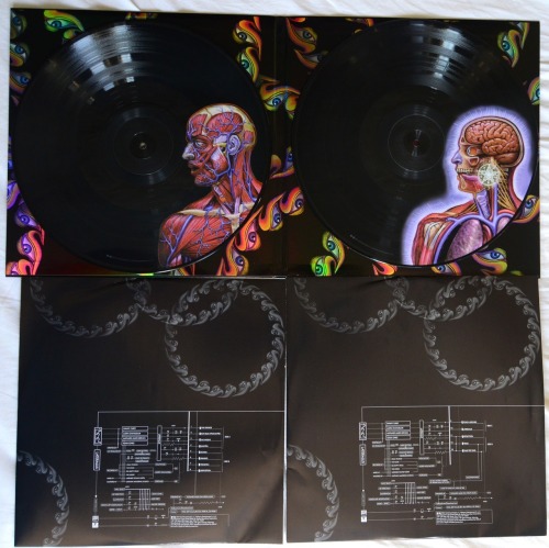 TOOL Lateralus Vinyl porn pictures