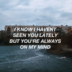 ihmxsiwxtd:  Shawn Mendes/Hold on