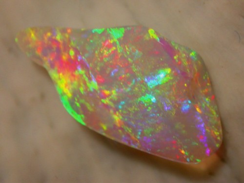 Opal Auctions