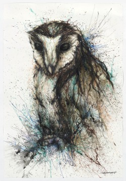 huatunan-art:  《night owl》 The owl interesting creatures: stubborn, arrogant, enthusiasm, and full of mystery   