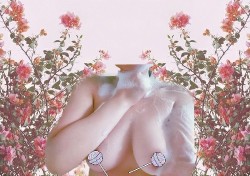 nectarines-boobs:  (I an dying to go to Gardens