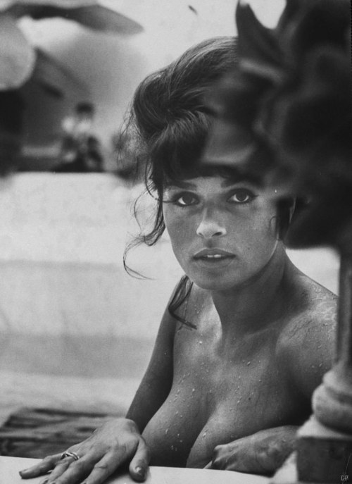 honey&ndash;rider: . Senta Berger