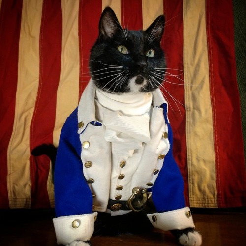 cat-cosplay:I’m past patiently waitin’I’m passionately smashin’ every expectationEvery action’s an a