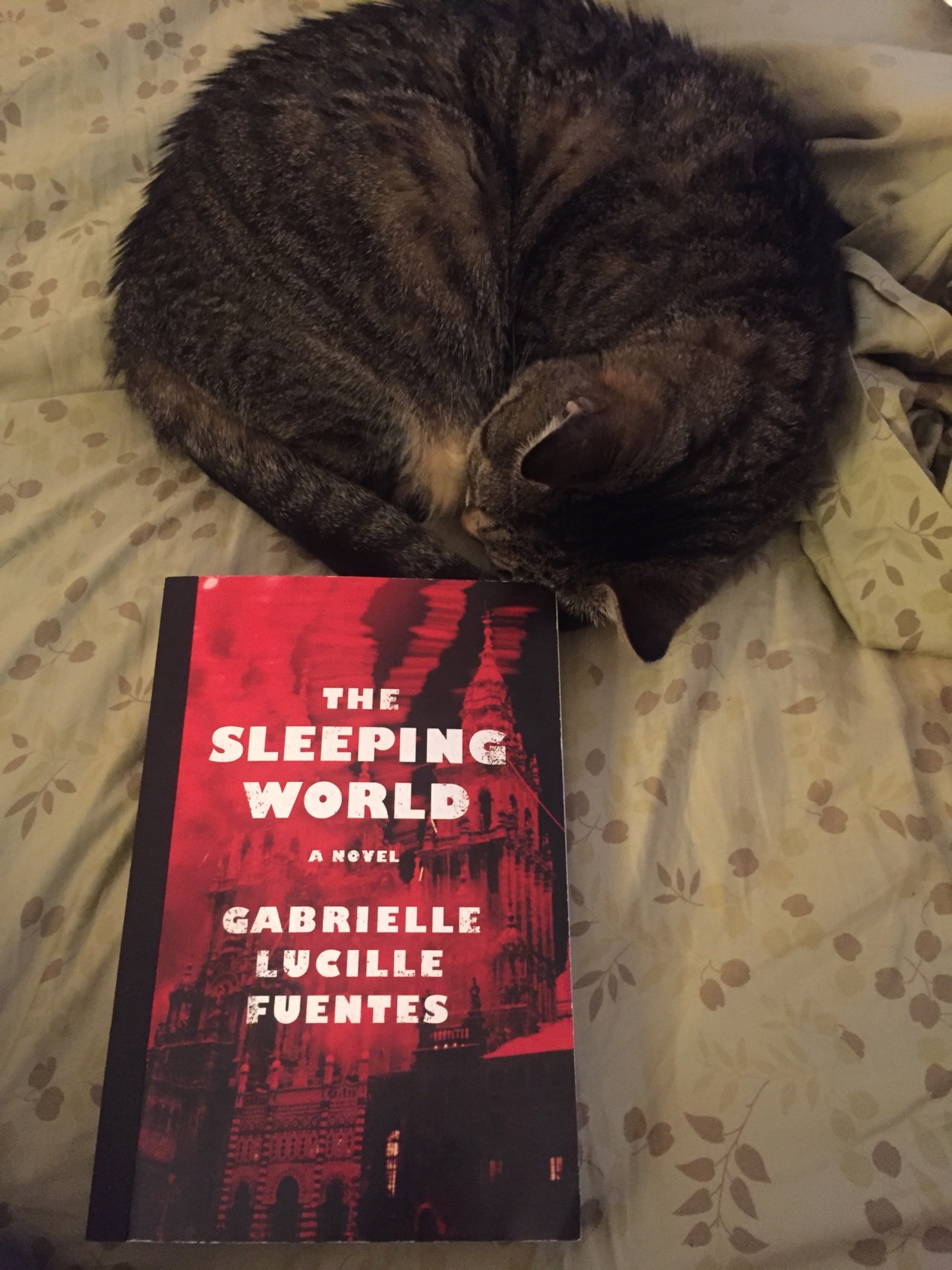 The Sleeping World with the sleeping cat. We’re spending our snow day getting ready for Touchstone’s fall 2016 season. Stuck inside, but this debut is taking me to 1970s Spain.