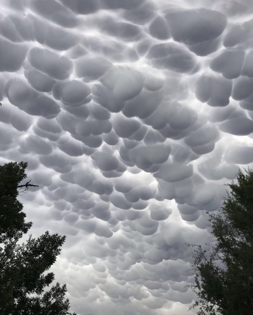 Mammatus Clouds