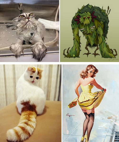 daredreemer: tastefullyoffensive: Cats Who Look Like Other Things [boredpanda]Previously: Dogs 