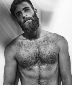 gay-hipsters:  Hairy hipster purrfection