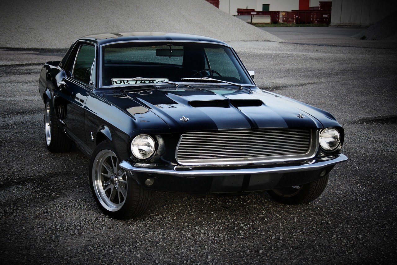 justoldmustangs:  Just old Mustangs