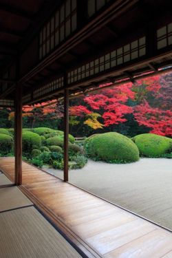 world-ethnic-beauty:    Shisen-do temple,