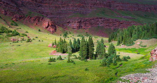 legendary-scholar:  Remote red rock walled valley in the Rocky Mountains,  A seldom visited place.