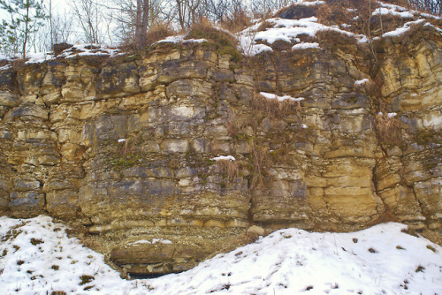 galswintha: Former Triassic limestones quarry in Sadowa Góra (Orchard Mountain) in Jaworzno, 
