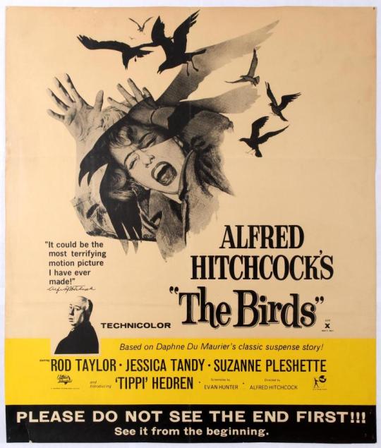 I need a remake of Hitchcock's The Birds, but with greater diversity in the bird species that are out killing folks. Who here...