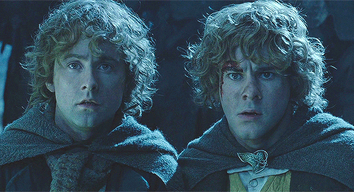 In the spring of 1484 a message came from Rohan to Buckland that King Eomer wished to see Master Hol