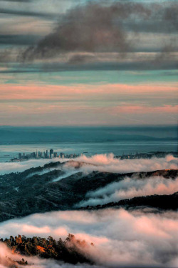 earthdaily:  Mt. Tamalpais View by Beau Rogers on Flickr. 