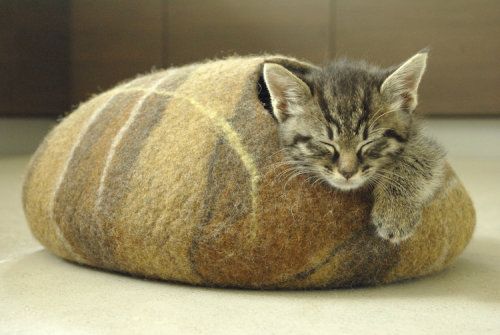 mymodernmet:Handfelted Cat “Caves” Give Felines a Cozy Place to Curl Up