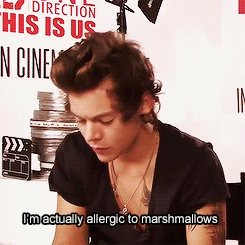 larrysinlove:  chonce:  Niall and Harry doing the chubby bunny challenge x   #harry