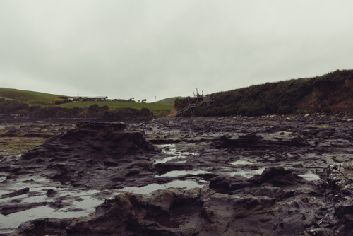 Curio Bay, Catlins, New Zealand.