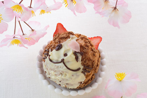 hay45h1: (via Cute cats and sakura cherry blossoms meet for a deliciously sweet collaboration | Roc