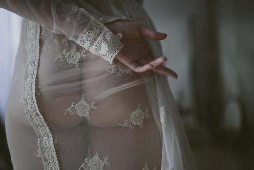 siyahalbatros:    by FabriziaMiliaPhotos