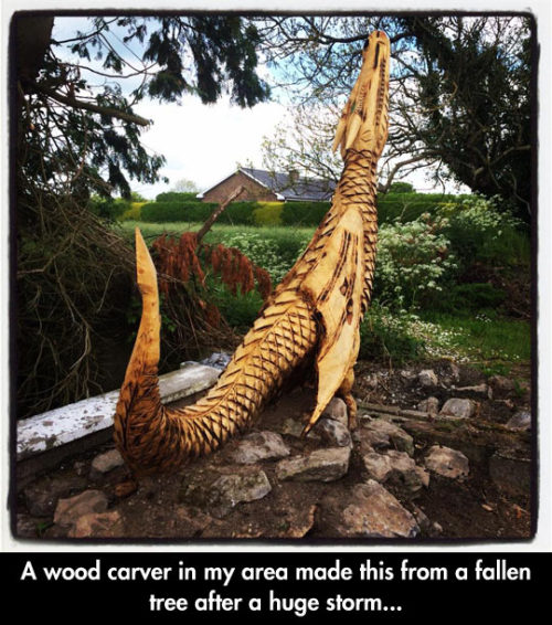srsfunny:  Dragon Made From Fallen Treehttp://srsfunny.tumblr.com/ 