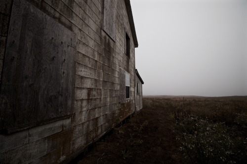 skylerbrownart: Dreary Daysphoto by Skyler Brown Tumblr | Facebook | Instagram | Flickr