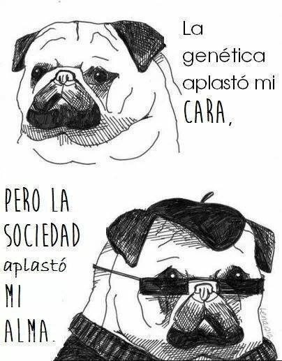 JAIDEFINICHON - TERRIBLE DE HD