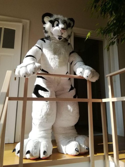 RT @Tiwoof: Another New challenger/creation: Plushie suit for @KaiTee_73 , Extra soft rabbit fur (ye