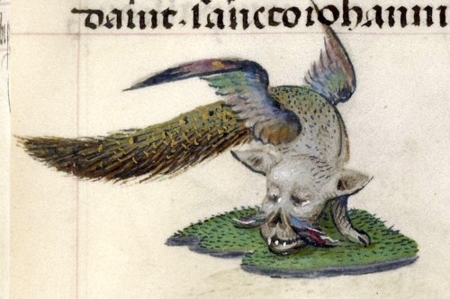 appendixjournal: “Detail of a… well, some kind of animal with a peacock’s tail an