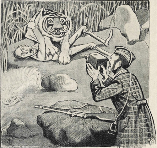 danskjavlarna: From Lustige Blätter, 1902. My modest collection of vintage tigers is purring along.