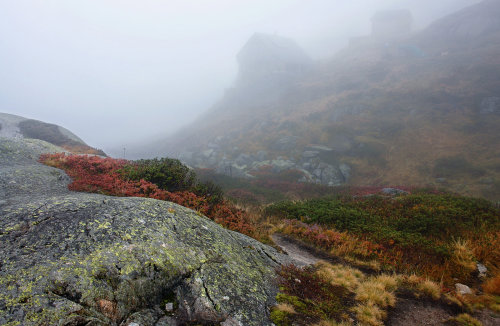 90377:Der Nebel und der Herbst by Elena Wymann