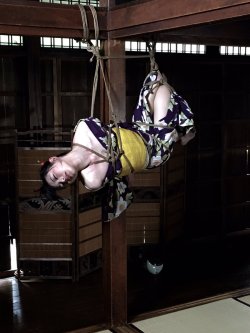 thevertigonetwork:    Kinbaku&amp;Photo Hajime KinokoModel Aika 