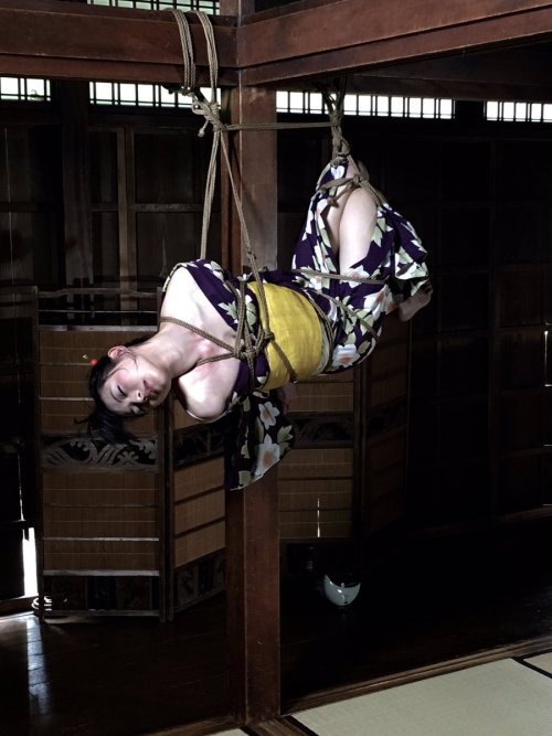 thevertigonetwork:    Kinbaku&Photo Hajime porn pictures