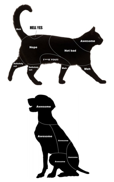 littlepawz:Petting Guide for Cats vs Dogs