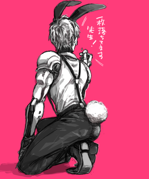 shino05410:バニーボーグ