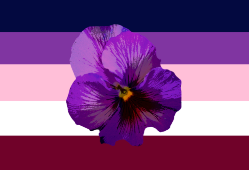 vaspider: disasterbisexual:  cozycatlesbian:  disasterbisexual:   “The symbolism of the flower deriv