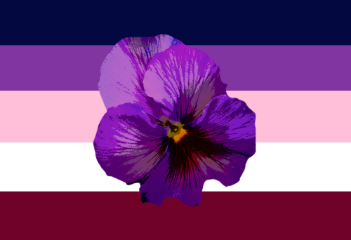 disasterbisexual: disasterbisexual:   “The symbolism of the flower derives from several fragme