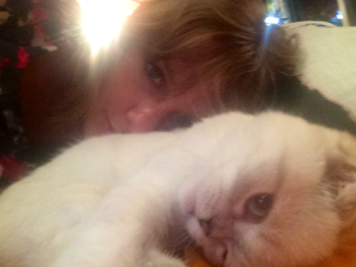 taylorswift:I taught Olivia how to take selfies with her tiny paw and she’s getting super good at it