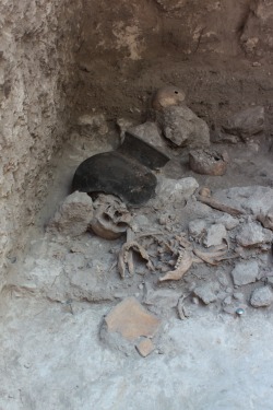 scinerds:   Ancient Maya Grave Yields Dozens of Mutilated Bodies  An excavation at the site of an ancient Maya city in Mexico has yielded a gruesome find: the remains of dismembered, decapitated bodies. The discovery provides new archaeological evidence