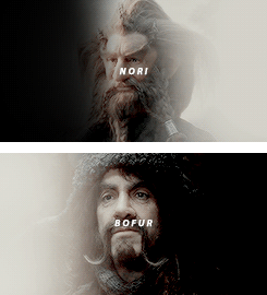 remusjohnslupin:  The Company of Thorin Oakenshield 