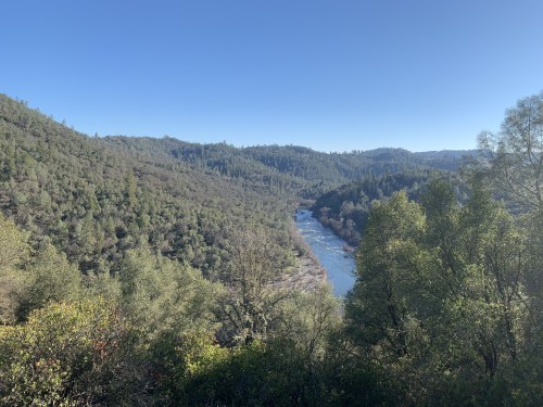 It’s mid winter here in Gold Country and the trails are starting to get green again. After a big sto